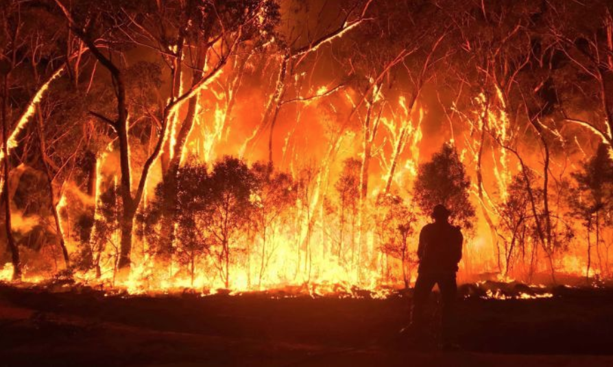 Australian+Wildfires