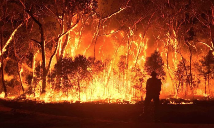 Australian Wildfires