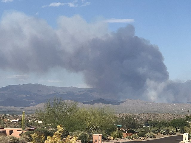 Smoke billows from a bush fire. Image via Wikimedia Commons.