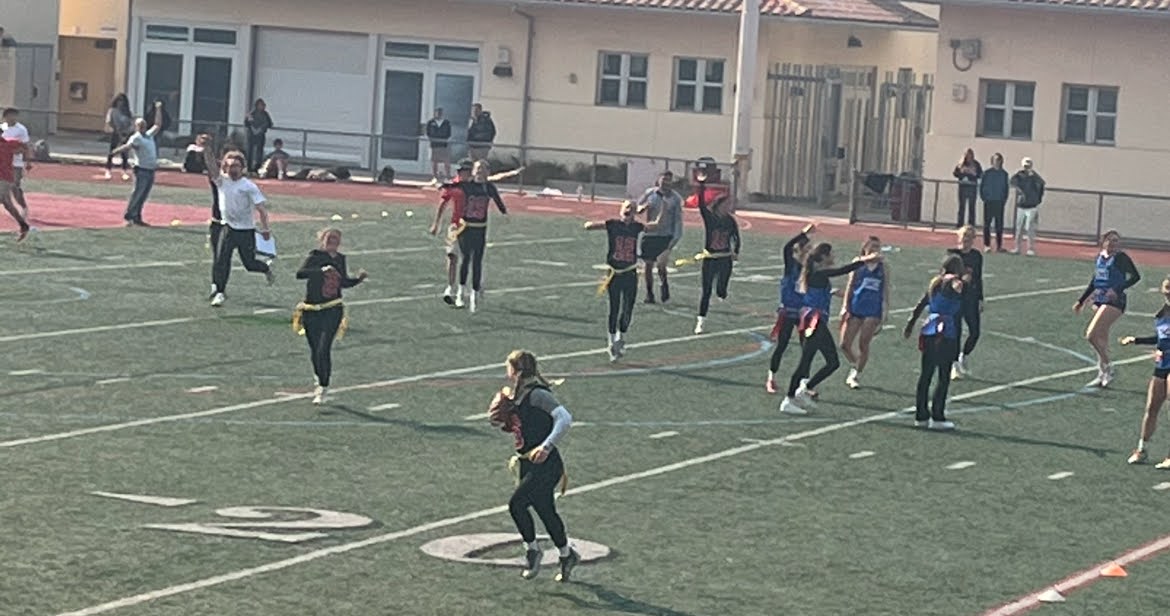 Powderpuff. Image via Melanie Campos-Chavez.