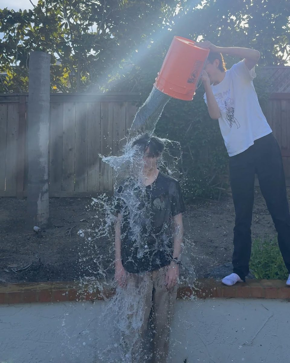 Seniors Dylan Printz and Zac Schmidt participating in the challenge. Image via Dylan Printz.