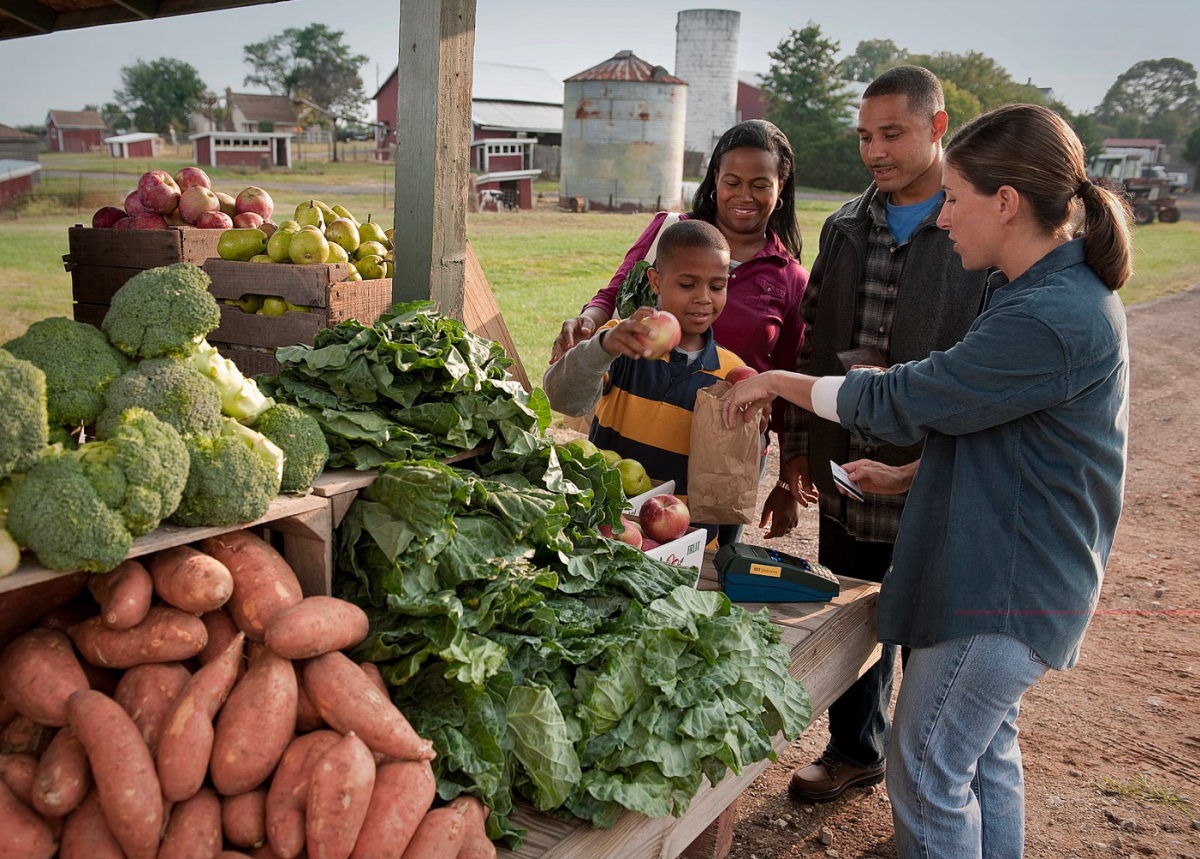 Community members volunteer to help feed those affected by SNAP cuts. 