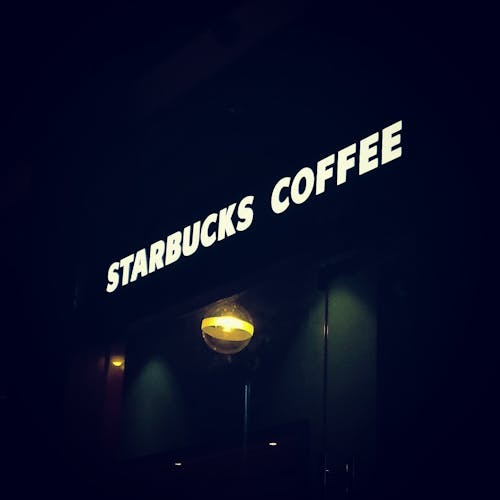 Starbucks 'Bearista' Cups: Worth it?